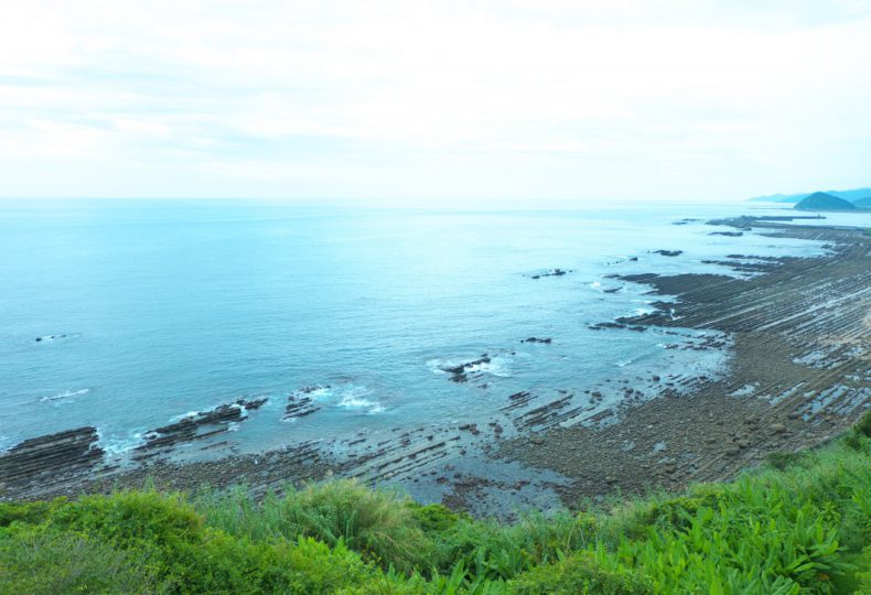 宮崎県 南国な雰囲気いっぱいの 日南 青島 Travel