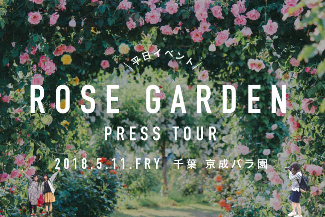 5月11日 薔薇の楽園 京成バラ園へ Rose Garden Tour Backnumber