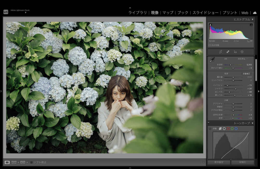 写真現像ソフトで有名な、Adobe Lightroomって何ができるの