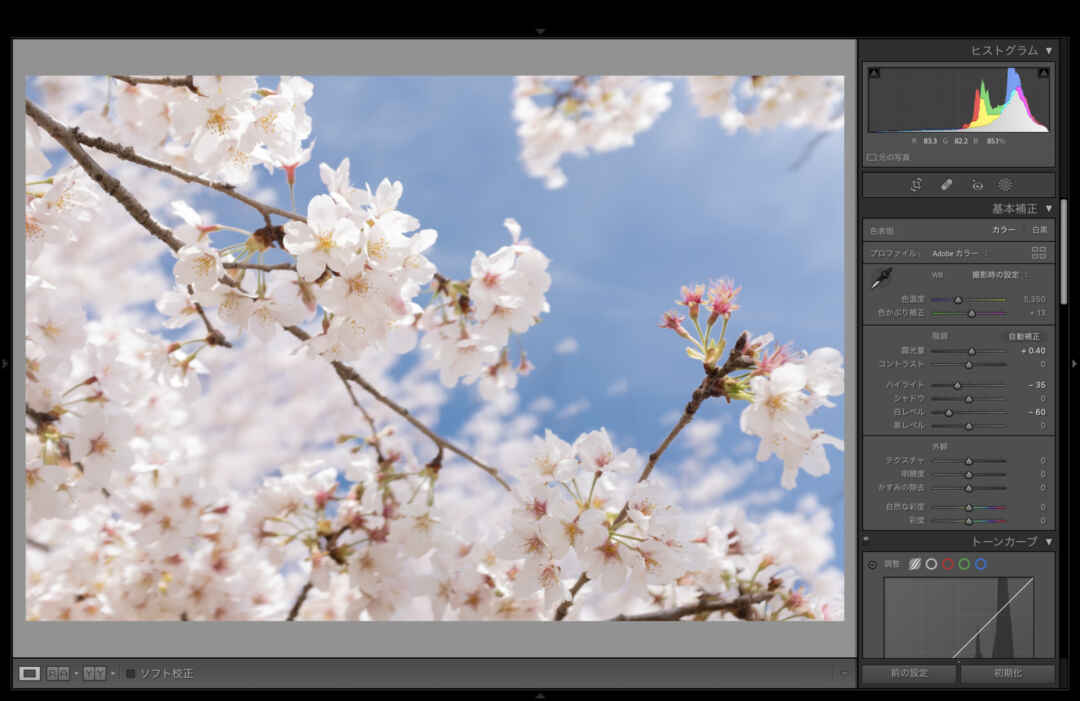 写真現像ソフト Adobe Lightroom と Adobe Photoshop の違いを解説 